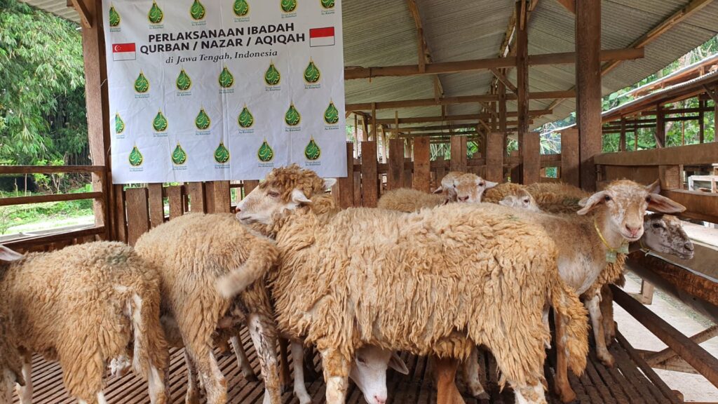 Qurban Aqiqah Nazar by Khayrat