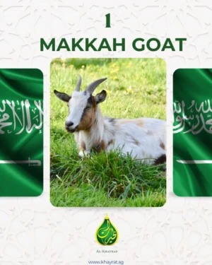 Goat Makkah